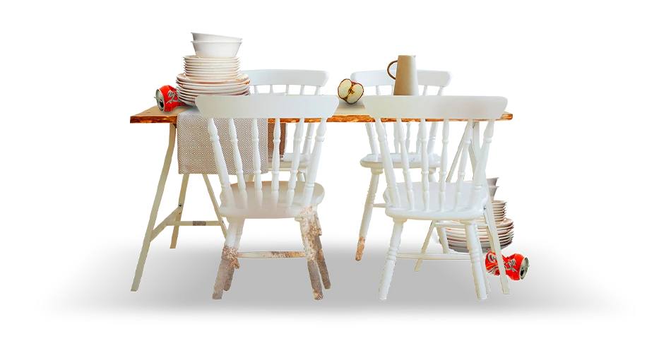 ¿Cómo funcionan nuestros servicios?